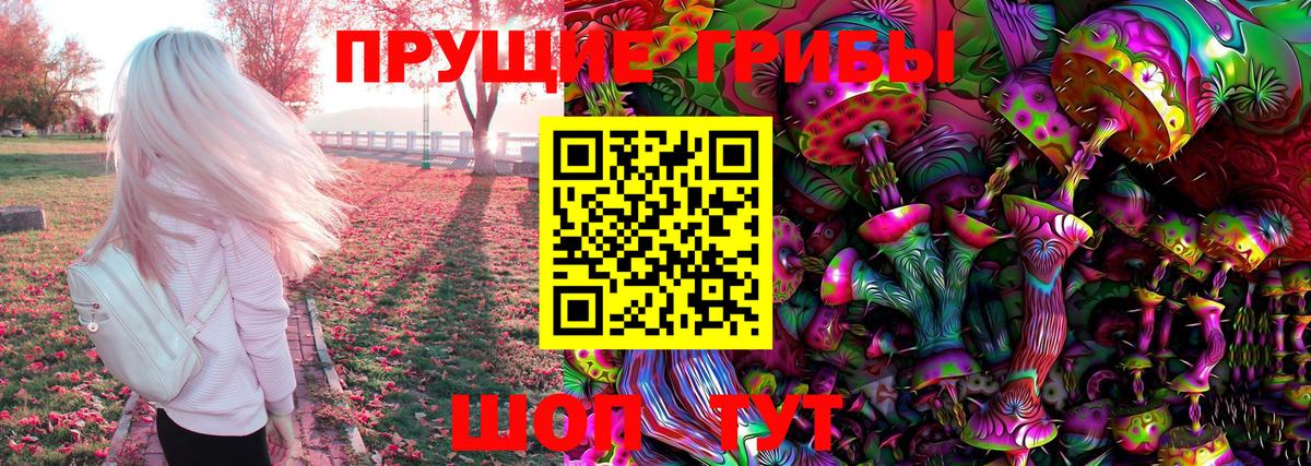 Миасс  Галлюциногенные грибы GOLDEN TEACHER  Вход с VPN 